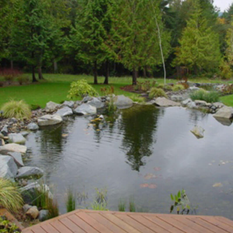 Large residential pond construction mi 1