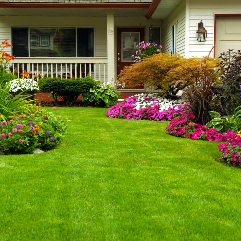 Residential lawn care service mi landscaping company mi 2