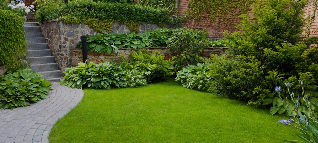 black pearl landscaping and lawn in michigan, detroit landscaping, michigan landscaping, tree removal contractors, yard drainage, drainage contractors, snow removal contractor